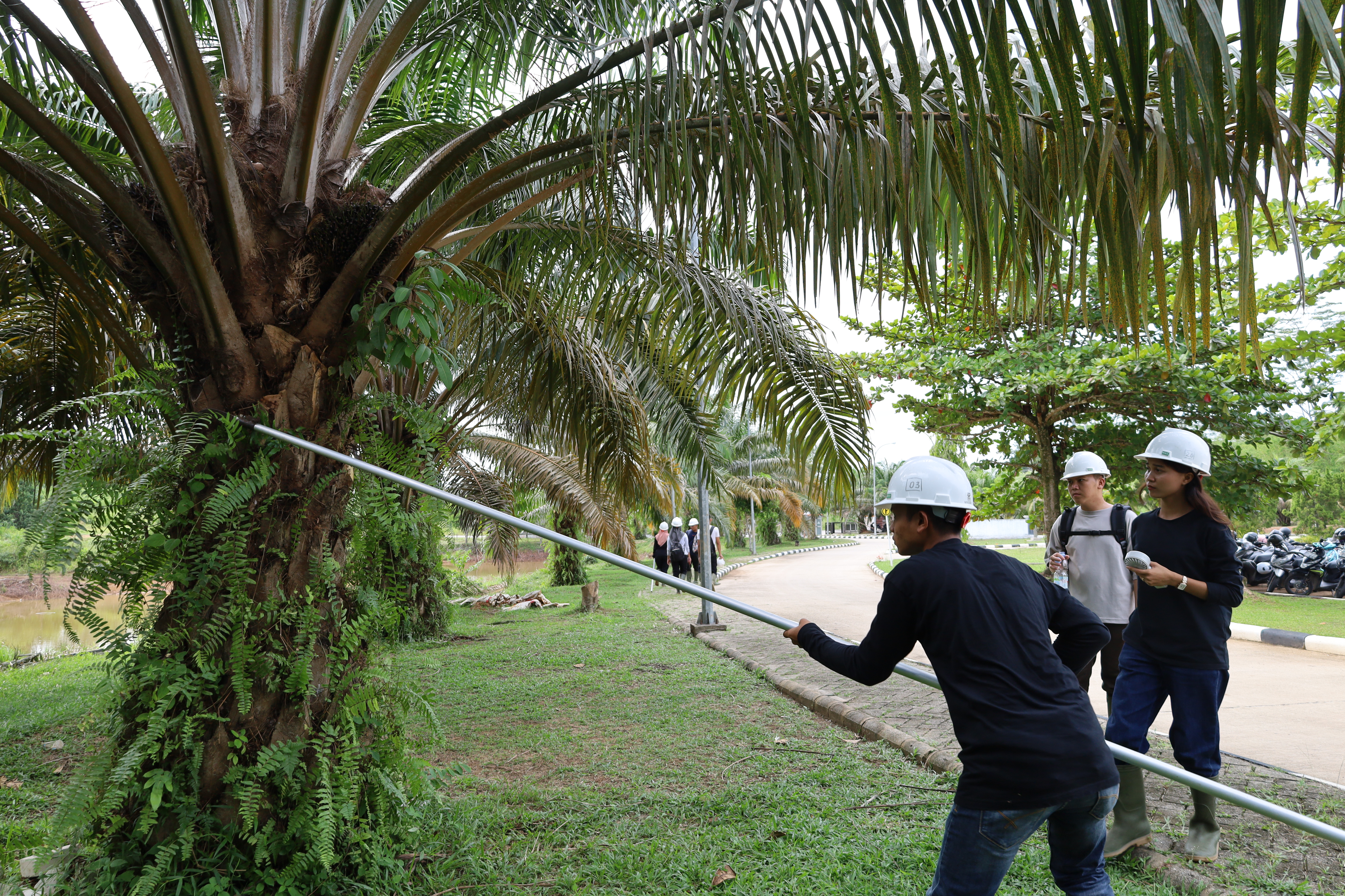 Berita ratikum-budidaya-sawit-politeknik-kampar-bersama-dosen-bapak-umar-linggom-sp-mbiotek